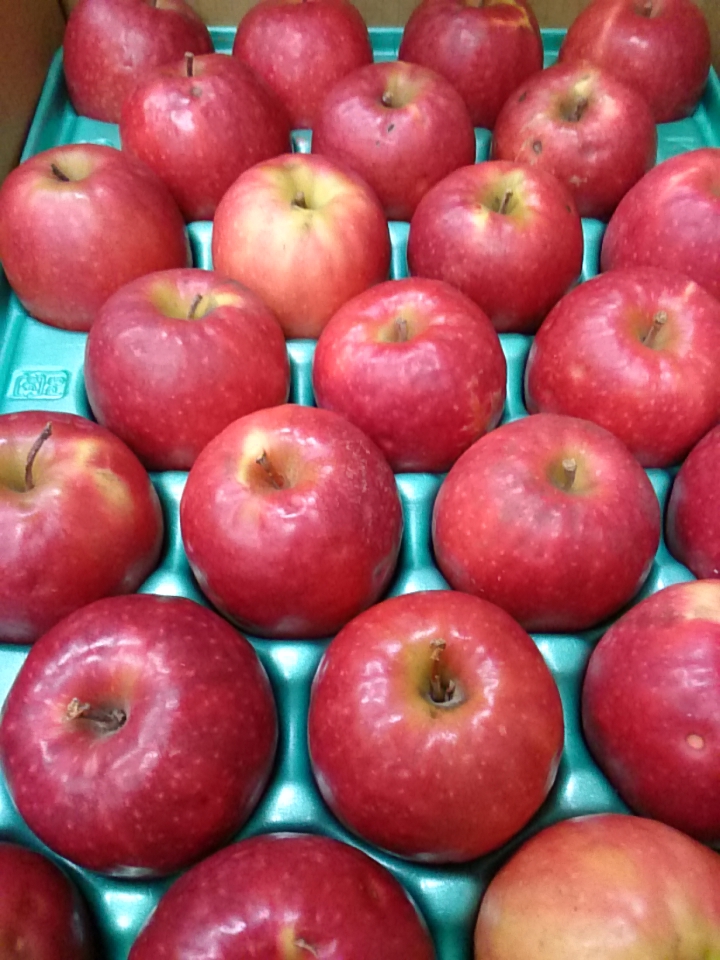 信州のリンゴ ピンクレディ 入荷しました 自然食品 マクロビオティック食材のオーガニックショップ サンアイです