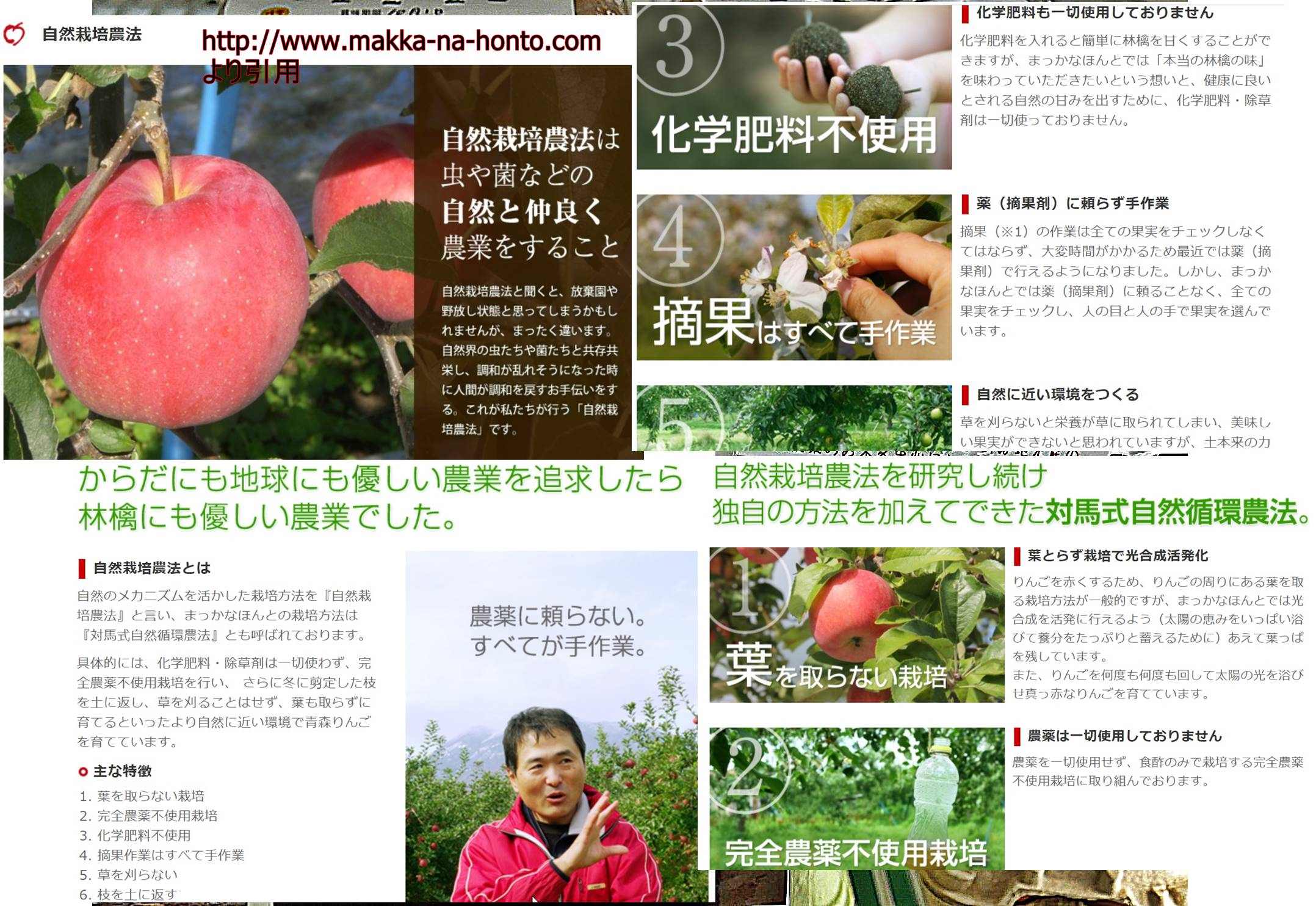 食品・飲料・酒自然栽培　りんご　無肥料　農薬不使用　じゃがいも